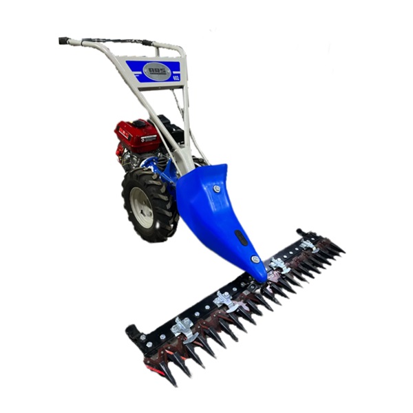 03006000 دروگر دو چرخ بنزینی آرس 7 اسب مدل ARS-602G